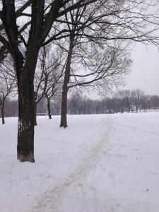 雪の日のジャンヌ・マンス公園