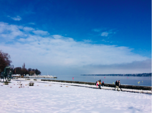 十数年ぶりの大雪が降った翌日のレマン湖。見慣れていた景色もこの日は格別でした。