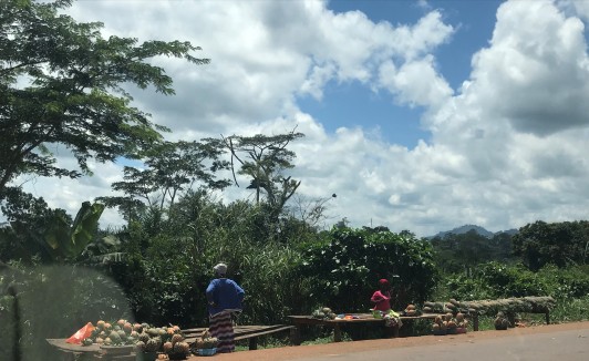 道端でパイナップルを売る女性たち 