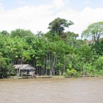 ブラジル北部、アマゾン川のほとりにある民家。