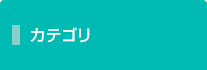 カテゴリ